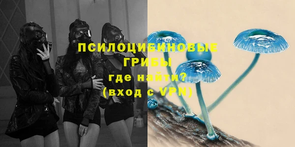 гидропоника Балабаново